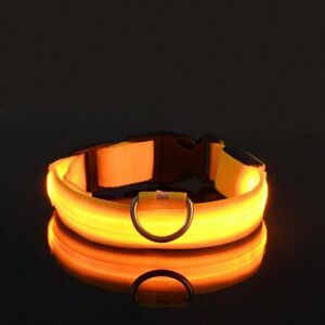 Gaatpot (Yellow, M) Nylon LED Night Safety Flashing Glow In The Dark Dog Leash Dogs Lumi Gaatpot (Yellow, M) Nylon LED Night Safety Flashing Glow In The Dark Dog Leash Dogs Lumi