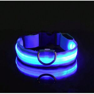 Gaatpot (Blue, L) Nylon LED Night Safety Flashing Glow In The Dark Dog Leash Dogs Lumino Gaatpot (Blue, L) Nylon LED Night Safety Flashing Glow In The Dark Dog Leash Dogs Lumino