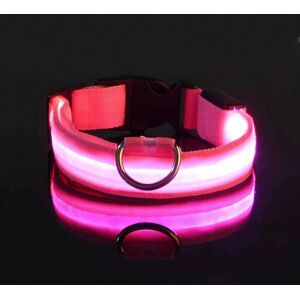 Gaatpot (Pink, M) Nylon LED Night Safety Flashing Glow In The Dark Dog Leash Dogs Lumino Gaatpot (Pink, M) Nylon LED Night Safety Flashing Glow In The Dark Dog Leash Dogs Lumino