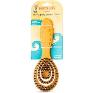 Burts Bees for Pets Porcupine Bristle Brush for Puppies and Small Dogs Handle Burts Bees for Pets Porcupine Bristle Brush for Puppies and Small Dogs Handle