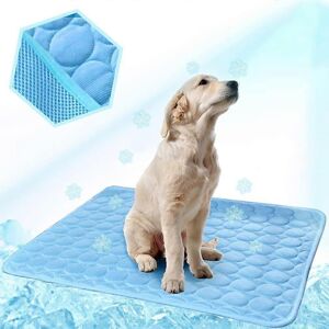 Unbranded (As show, One size) Blue 50*40CM Dog Cooling Mat Cat Cooling Pad Cooling Pad Gel Unbranded (As show, One size) Blue 50*40CM Dog Cooling Mat Cat Cooling Pad Cooling Pad Gel