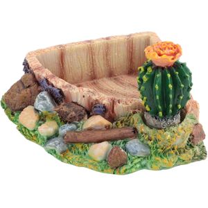 Unbranded Reptile Pet Turtle Tortoise Lizard Feeding Water Bowl Plate with Cactus Home Dec Unbranded Reptile Pet Turtle Tortoise Lizard Feeding Water Bowl Plate with Cactus Home Dec