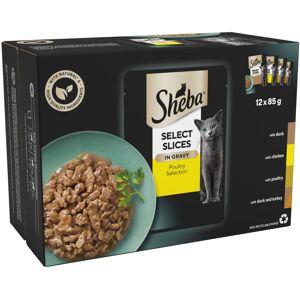 Sheba Select Slices in Gravy ? Poultry Selection ? Wet Cat Food Pouches for Adul Sheba Select Slices in Gravy ? Poultry Selection ? Wet Cat Food Pouches for Adul