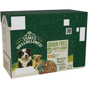 James Wellbeloved Grain Free Puppy Dog Food with Turkey in Gravy Pouch 12 x 90 g James Wellbeloved Grain Free Puppy Dog Food with Turkey in Gravy Pouch 12 x 90 g