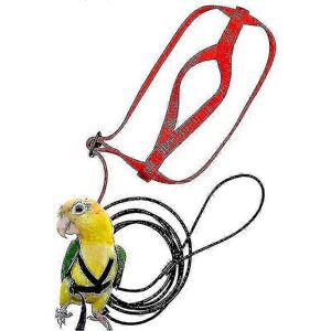 Kikidex (S, One size) Parrot Bird Harness Leash Outdoor Flying Traction Straps Band Adju Kikidex (S, One size) Parrot Bird Harness Leash Outdoor Flying Traction Straps Band Adju