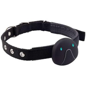 Unbranded (Black, One size) GPS Dog Tracker Pets Real-Time Tracking Collar Device APP Cont Unbranded (Black, One size) GPS Dog Tracker Pets Real-Time Tracking Collar Device APP Cont