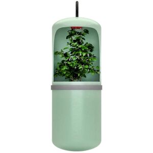 Unbranded (As show, One size) Automatic Water Fountain Feeding Bowl System Circulation for Unbranded (As show, One size) Automatic Water Fountain Feeding Bowl System Circulation for