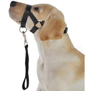 Unbranded Adjustable Polyester Dog Mouth Muzzle with Towing Rope, Size M Unbranded Adjustable Polyester Dog Mouth Muzzle with Towing Rope, Size M