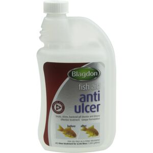 Blagdon Anti-Ulcer Treatment for Pond Fish, Effective, Unique Formulation, Treat Blagdon Anti-Ulcer Treatment for Pond Fish, Effective, Unique Formulation, Treat