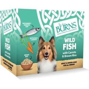 Burns Pet Natural Nutrition Adult & Senior Wet Dog Food Wild Fish, Carrots & Who Burns Pet Natural Nutrition Adult & Senior Wet Dog Food Wild Fish, Carrots & Who