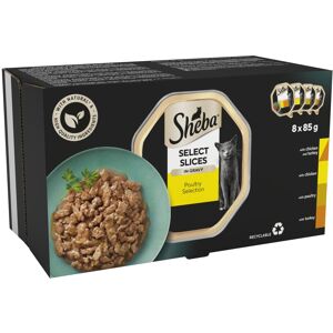Sheba Select Slices Cat Trays Poultry Collection in Gravy (4 x 8 x 85 g) Sheba Select Slices Cat Trays Poultry Collection in Gravy (4 x 8 x 85 g)