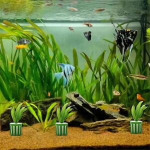 Unbranded For Aquatic Plant Fixed Holder 10pcs Aquarium Plant Fixing Pot Kit Aquarium Acce Unbranded For Aquatic Plant Fixed Holder 10pcs Aquarium Plant Fixing Pot Kit Aquarium Acce