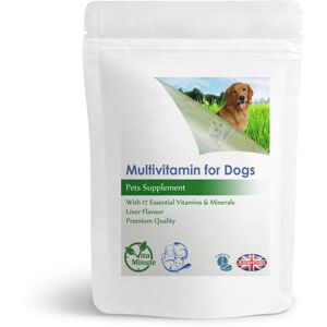 VitaMinute Senior Dogs Multivitamin – Daily Essential Vitamins & Minerals for Energy, Immun VitaMinute Senior Dogs Multivitamin – Daily Essential Vitamins & Minerals for Energy, Immun