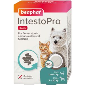 Beaphar IntestoPro Tablets, Cats/Small Dogs, Stool Firming, 20 Tablets Beaphar IntestoPro Tablets, Cats/Small Dogs, Stool Firming, 20 Tablets