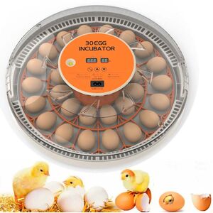 Unbranded 30 Eggs Fully Automatic Incubator Intelligent Chicken Duck Egg Hatcher Unbranded 30 Eggs Fully Automatic Incubator Intelligent Chicken Duck Egg Hatcher