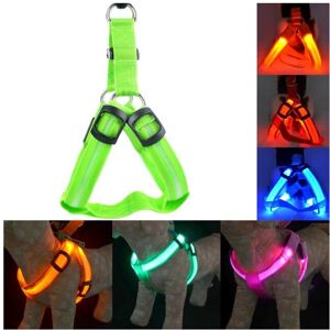 HOD Pets (Green, M Chest 38-50 cm) Usb Rechargeable Led Nylon Dog Collar Harness Flashing HOD Pets (Green, M Chest 38-50 cm) Usb Rechargeable Led Nylon Dog Collar Harness Flashing