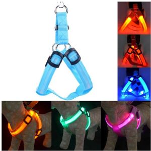 HOD Pets (Blue, S Chest 32-40 cm) Usb Rechargeable Led Nylon Dog Collar Harness Flashing HOD Pets (Blue, S Chest 32-40 cm) Usb Rechargeable Led Nylon Dog Collar Harness Flashing
