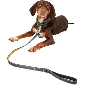 Rosewood Joules Leather Dog Lead Rosewood Joules Leather Dog Lead