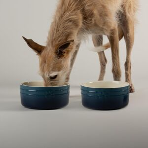 Scruffs Ombre 2pc Ceramic Dog Bowl Set - Blue 19cm High Quality & Du Scruffs Ombre 2pc Ceramic Dog Bowl Set - Blue 19cm High Quality & Du