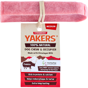 YAKERS Himalayan Dog Chew Bars, Natural Dog Chews - Strawberry Medium (Pack of 2 YAKERS Himalayan Dog Chew Bars, Natural Dog Chews - Strawberry Medium (Pack of 2