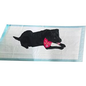 GADGETKING EXTRA LARGE PUPPY PADS XXL 160CM TRAINING TOILET PEE WEE MATS FLOOR TRAINER MEDI GADGETKING EXTRA LARGE PUPPY PADS XXL 160CM TRAINING TOILET PEE WEE MATS FLOOR TRAINER MEDI
