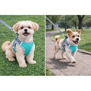 ARLINENS (XS, Aqua) Dog Harness Professional Dog Harness with 2 Leash Clips, Adjustable S ARLINENS (XS, Aqua) Dog Harness Professional Dog Harness with 2 Leash Clips, Adjustable S