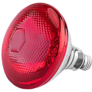 Unbranded Clearance! INFRA RED HEAT BULB LAMP 250W Poultry Chick Brooder UK Lambs GXJ Live Unbranded Clearance! INFRA RED HEAT BULB LAMP 250W Poultry Chick Brooder UK Lambs GXJ Live