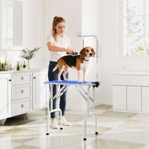 (Blue) PawHut 32" Dog Grooming Table with Height Adjustable Arm (Blue) PawHut 32" Dog Grooming Table with Height Adjustable Arm