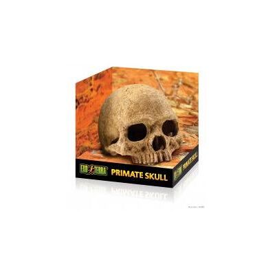 Exo Terra Primate Skull - Reptile Hideout Exo Terra Primate Skull - Reptile Hideout