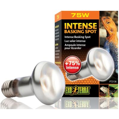 Exo Terra 75W High Quality Basking Spot Lamp - Lighting Exo Terra 75W High Quality Basking Spot Lamp - Lighting
