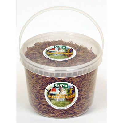 Supa Dried Mealworms 3ltr Supa Dried Mealworms 3ltr