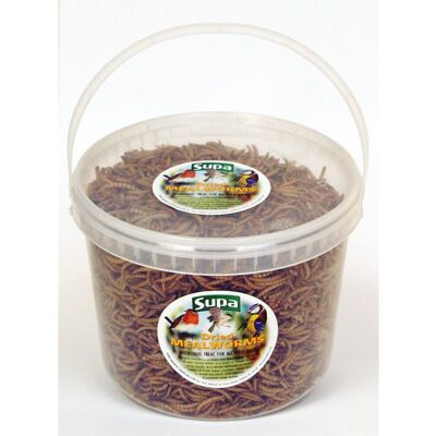 Supa Dried Mealworms - Wild Bird Food / Treat 3Ltr Supa Dried Mealworms - Wild Bird Food / Treat 3Ltr
