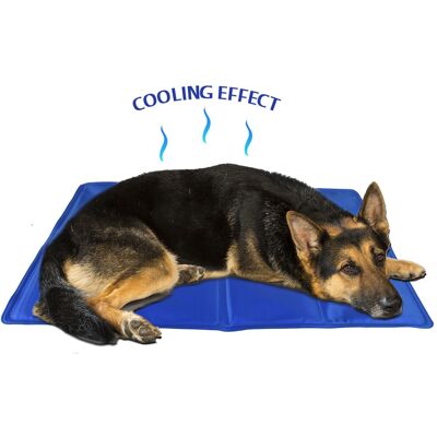 ASAB Cool Gel Pet Mat Dog Cat Bed Non Toxic Summer Heat Relief Cushion Pad 60x40cm ASAB Cool Gel Pet Mat Dog Cat Bed Non Toxic Summer Heat Relief Cushion Pad 60x40cm