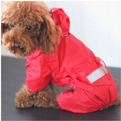 Unbranded (Multicoloured, S) Pet Cat Dog Raincoat Hooded Reflective Puppy Small Dog Rain C Unbranded (Multicoloured, S) Pet Cat Dog Raincoat Hooded Reflective Puppy Small Dog Rain C