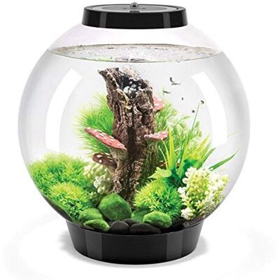 biOrb - Classic 30L - Black - Aquarium biOrb - Classic 30L - Black - Aquarium