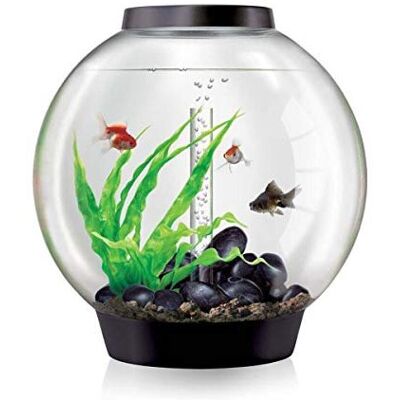 biOrb - Classic 60L Aquarium - Black - MCR LED Lighting biOrb - Classic 60L Aquarium - Black - MCR LED Lighting
