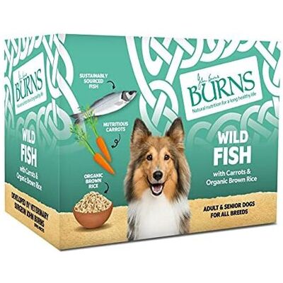 Burns Pet Nutrition - Adult & Senior Wet Dog Food - Wild Fish - Dog Food Burns Pet Nutrition - Adult & Senior Wet Dog Food - Wild Fish - Dog Food