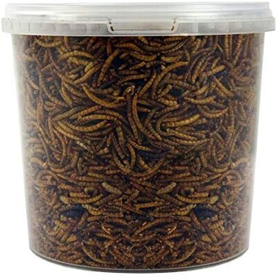 SQUAWK - Dried Mealworms - Premium Quality - Garden Snacks - Bird Food SQUAWK - Dried Mealworms - Premium Quality - Garden Snacks - Bird Food