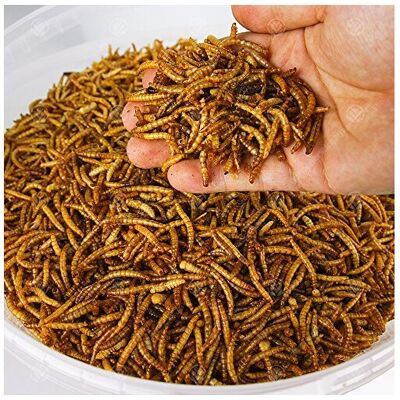 5KG WILD BIRD DRIED MEALWORMS 5KG WILD BIRD DRIED MEALWORMS