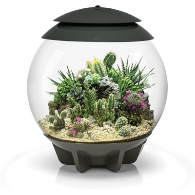 biOrb AIR 30 Grey 30L Acrylic Terrarium with LED Lighting Tropical Daylight Simu biOrb AIR 30 Grey 30L Acrylic Terrarium with LED Lighting Tropical Daylight Simu