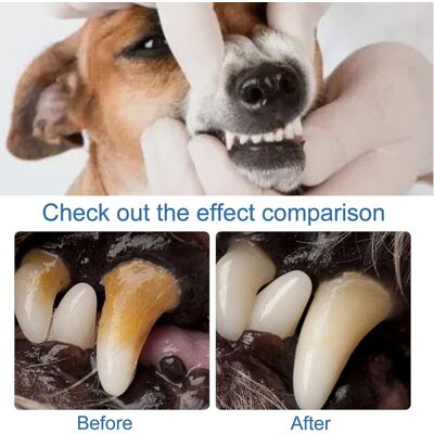 Unbranded Pet Oral Tartar Remover Foam - Fresh Breath Spray for Dogs & Cats, Reduces Calcu Unbranded Pet Oral Tartar Remover Foam - Fresh Breath Spray for Dogs & Cats, Reduces Calcu