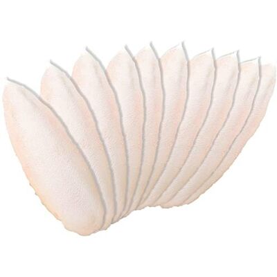 Newsmy 10 Pack Cuttlefish Bone for Birds, Parrots Chew Toys Natural Cuttlefish Bone for Newsmy 10 Pack Cuttlefish Bone for Birds, Parrots Chew Toys Natural Cuttlefish Bone for
