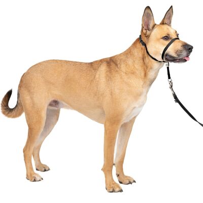 PetSafe PetSafe Gentl Leader Collar - Pet Accessory PetSafe PetSafe Gentl Leader Collar - Pet Accessory