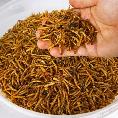 GardenersDream - Dried Mealworms - 25kg - Animal Food GardenersDream - Dried Mealworms - 25kg - Animal Food