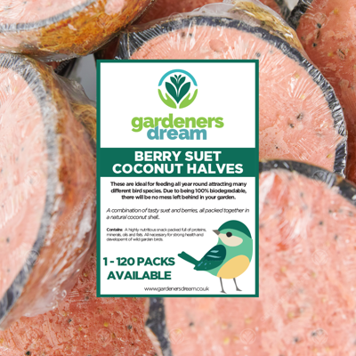 GardenersDream Berry suet-filled coconut halves Bird food GardenersDream Berry suet-filled coconut halves Bird food