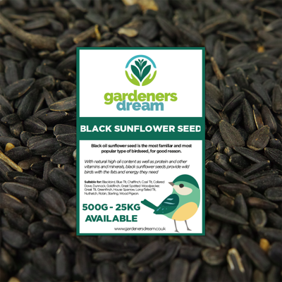 GardenersDream - Black Oil Sunflower Seeds - Oil-rich GardenersDream - Black Oil Sunflower Seeds - Oil-rich