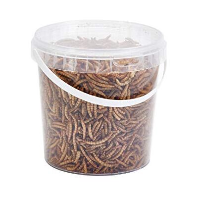 Ting Ting London Pet Ting Premium Dried Mealworms 1 Liter Tub MW1LTR - Protein-Rich Bird Snack fo Ting Ting London Pet Ting Premium Dried Mealworms 1 Liter Tub MW1LTR - Protein-Rich Bird Snack fo