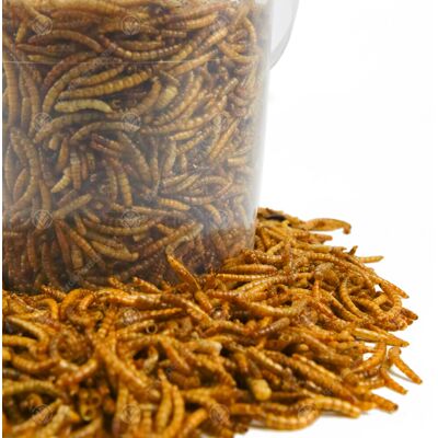 GardenersDream - Dried Mealworms 2.5L - Garden product GardenersDream - Dried Mealworms 2.5L - Garden product