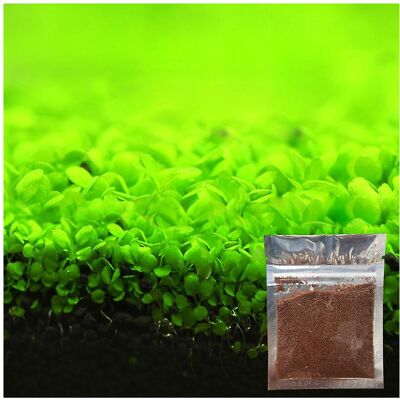 Unbranded (Small Leaf) New Aquarium Ornament Plant Seeds Fish Tank Landscape Decoration Wa Unbranded (Small Leaf) New Aquarium Ornament Plant Seeds Fish Tank Landscape Decoration Wa
