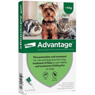 Advantage Spot On Flea Treatment For Small Cats Dogs and Rabbits, 4 Pipettes Advantage Spot On Flea Treatment For Small Cats Dogs and Rabbits, 4 Pipettes